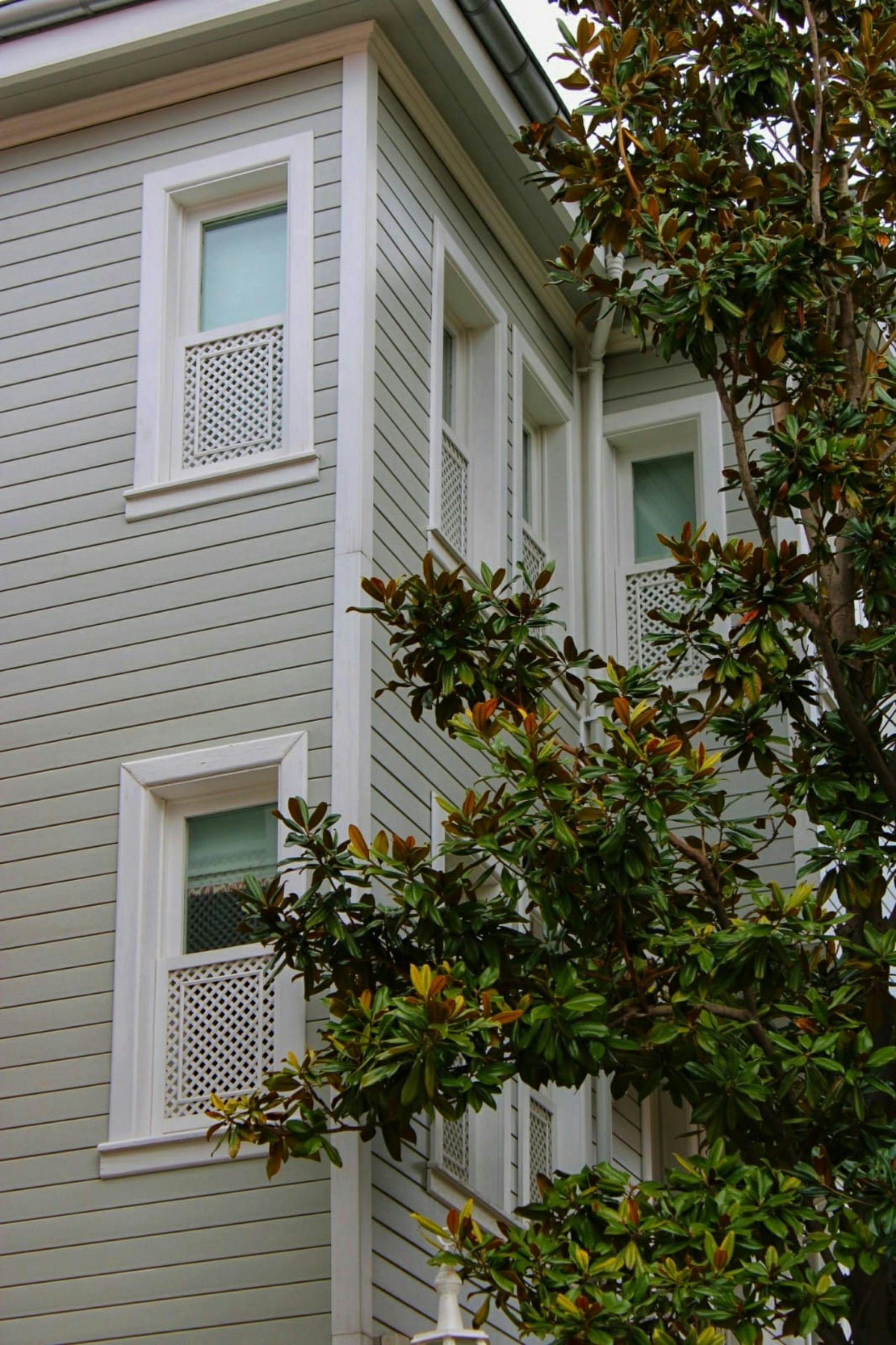 A light gray, three-story building with white trim and small windows is partially obscured by a leafy tree with green and yellow leaves in the foreground.
